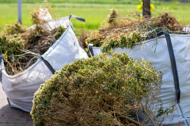 Debris Removal in Fort Bragg, CA